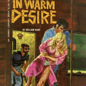 In Warm Desire Puzzles